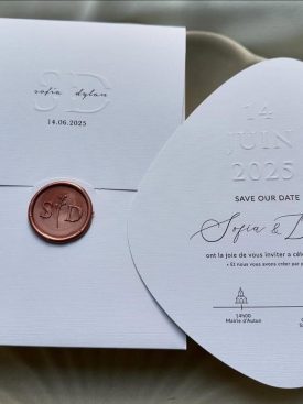 Sofia & Dylan Custom Wedding Invitation